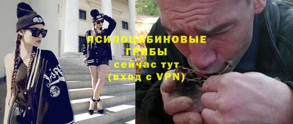 PSILOCYBIN Карпинск