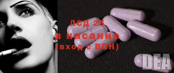 PSILOCYBIN Карпинск