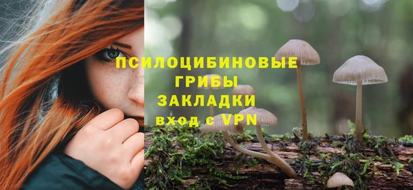 PSILOCYBIN Карпинск