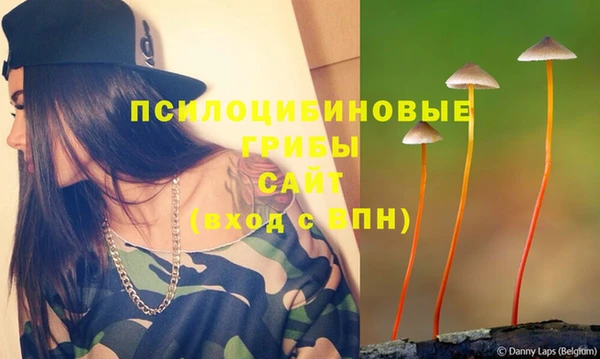 PSILOCYBIN Карпинск